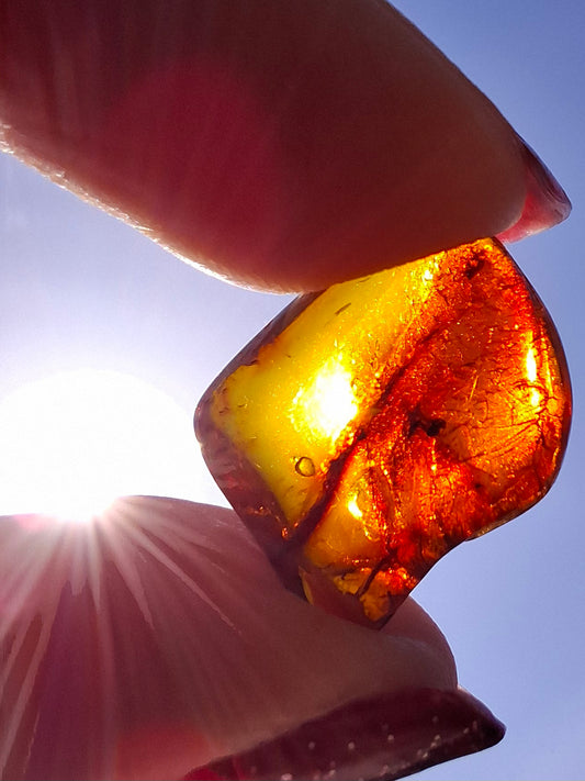 Baltic Amber, 0.94g, Fossil (Ref: A256)