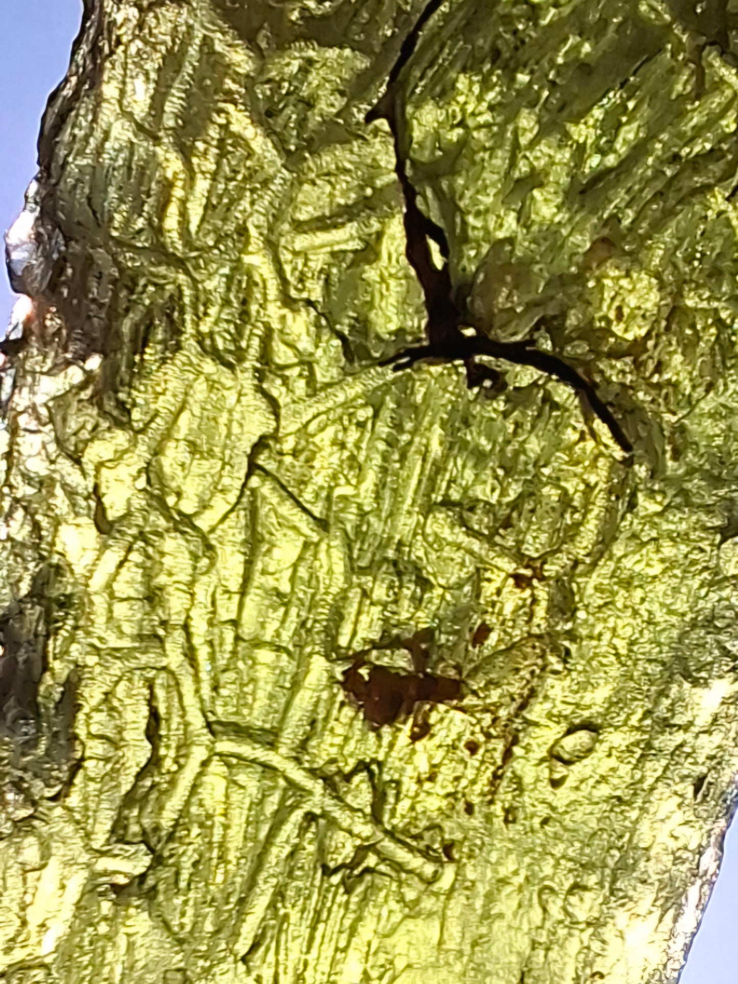 Moldavite Piece, NESMEN, 8.04g, Tektite (Ref: 1377)