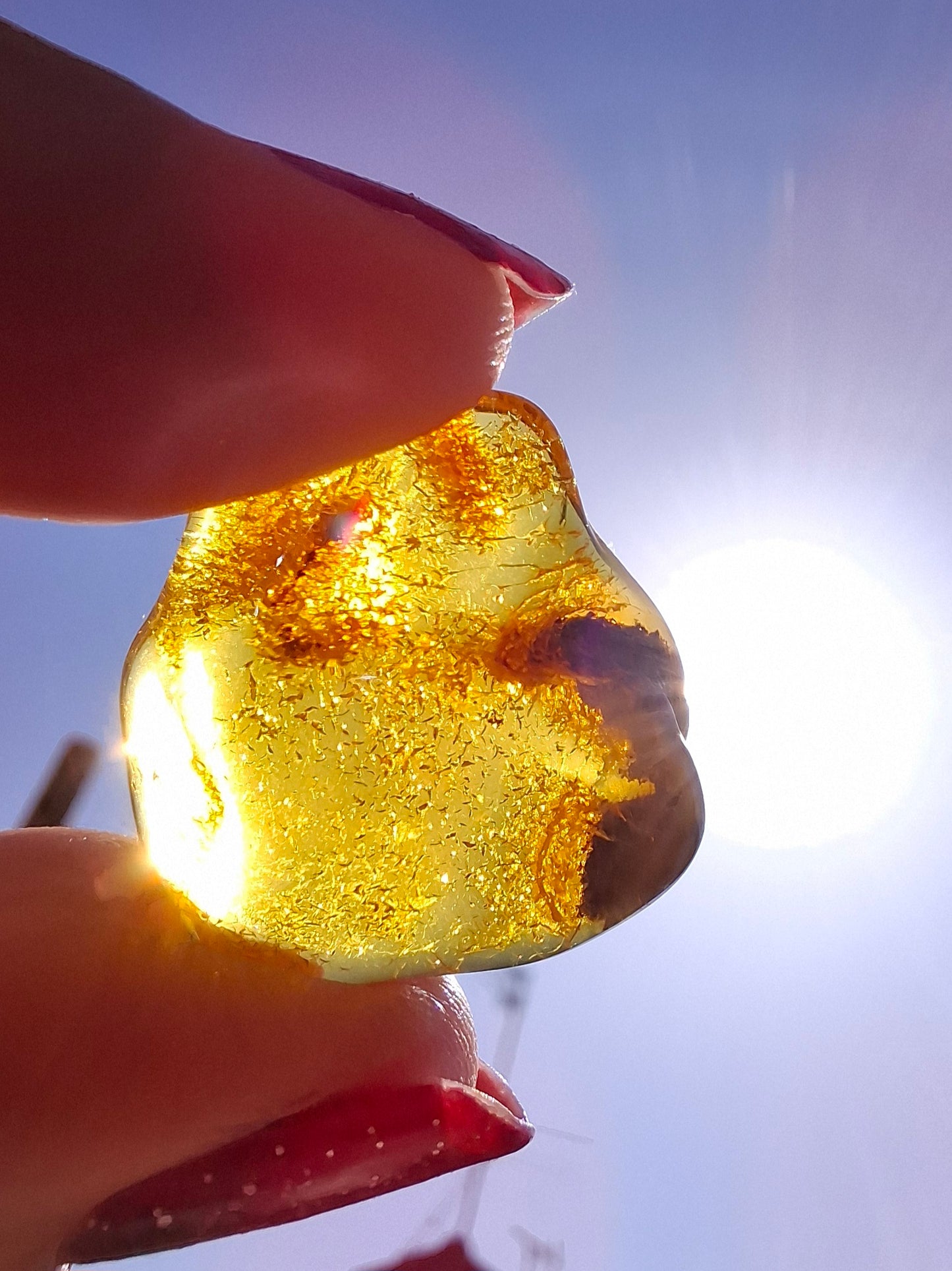 Baltic Amber, 1.45g, Fossil (Ref: A76)