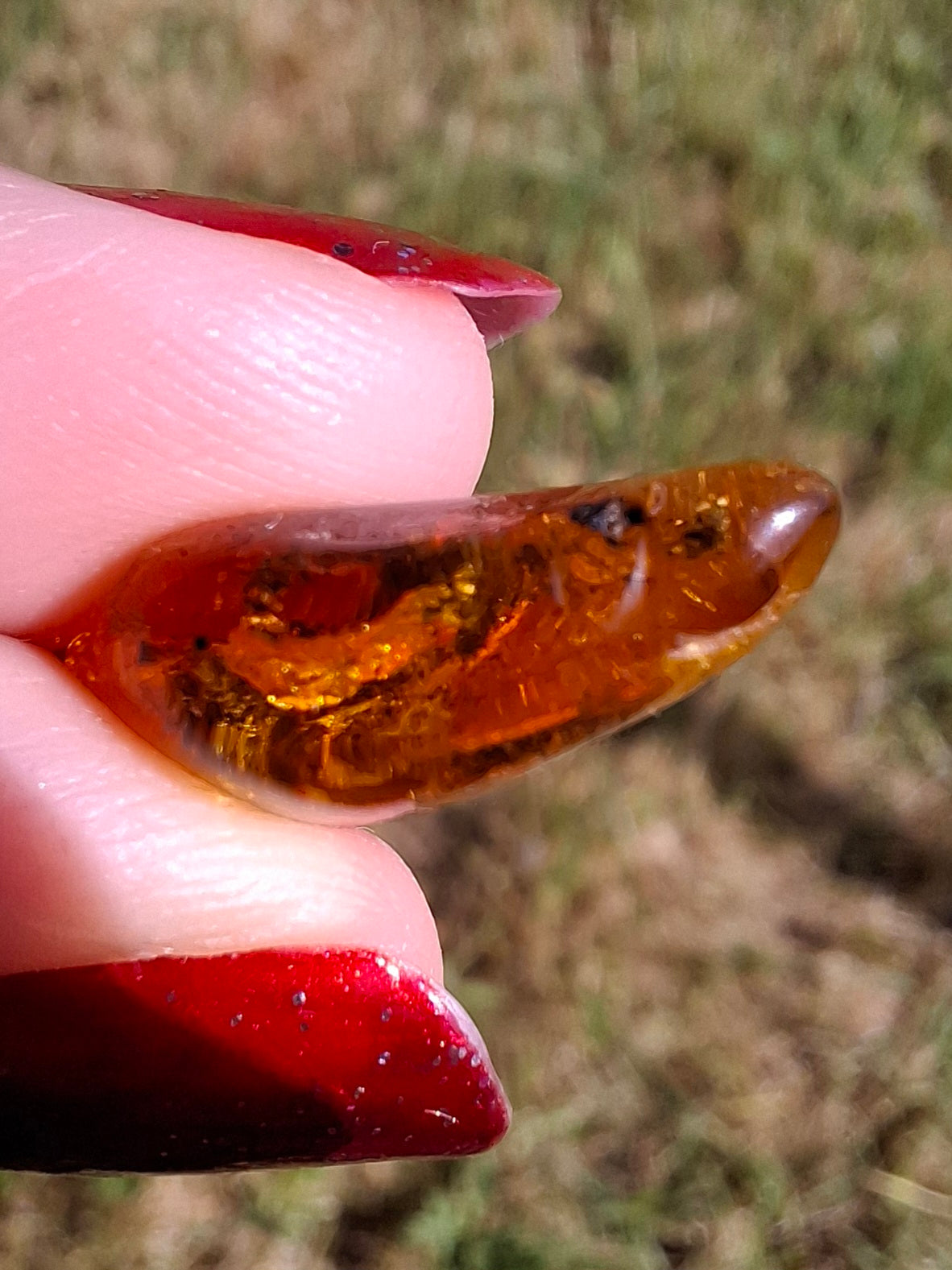 Baltic Amber, 1.13g, Fossil (Ref: A241)
