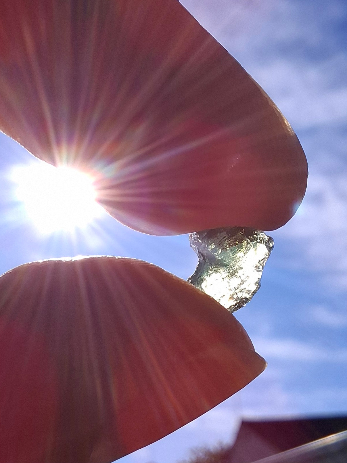 Moldavite chip Bundle, 1g, 4 pcs, Tektite (MB47)
