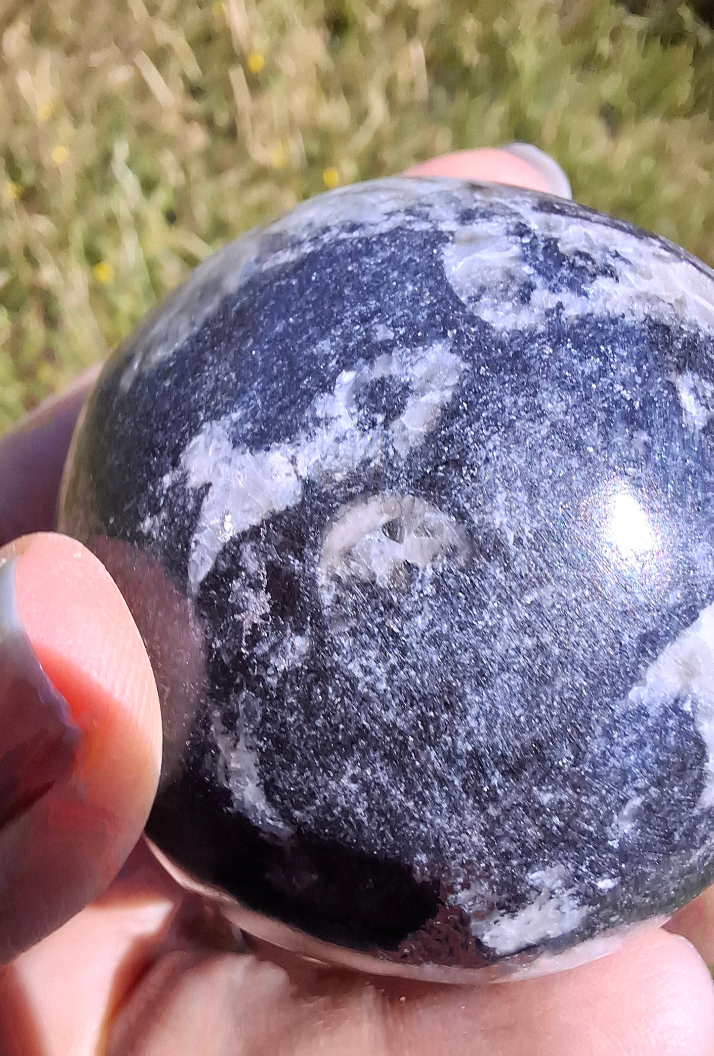 Orthoceras Sphere, Fossil (Ref: OS2)