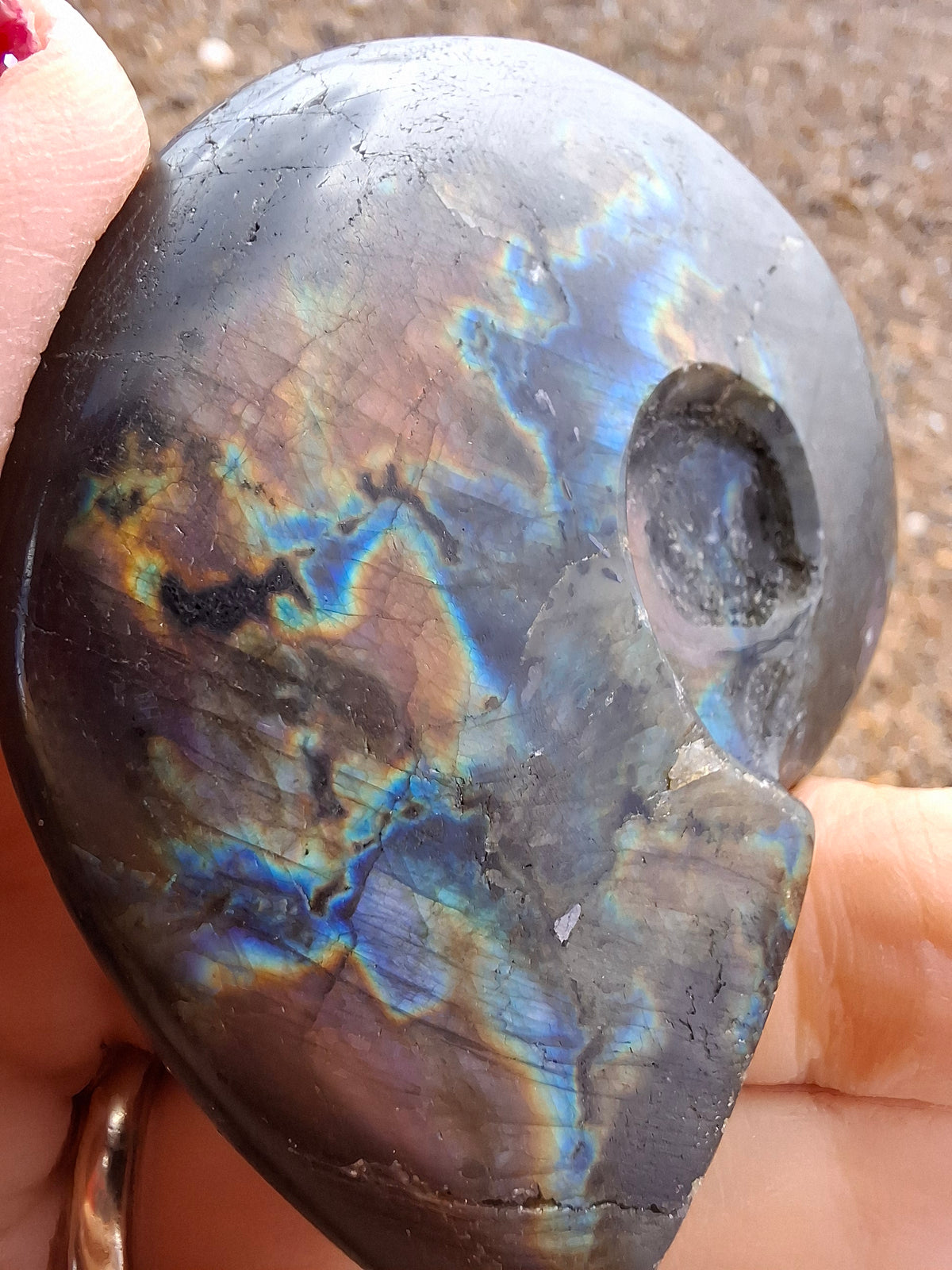 Labradorite Ammonite Carving, 89.31g, Crystal (Ref: laba6)