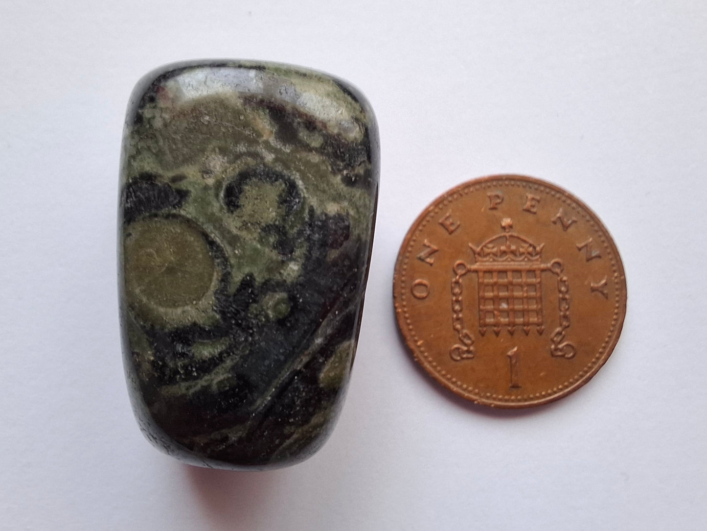 Kambaba Jasper, Tumble Stone, Crystal (Ref: T161)