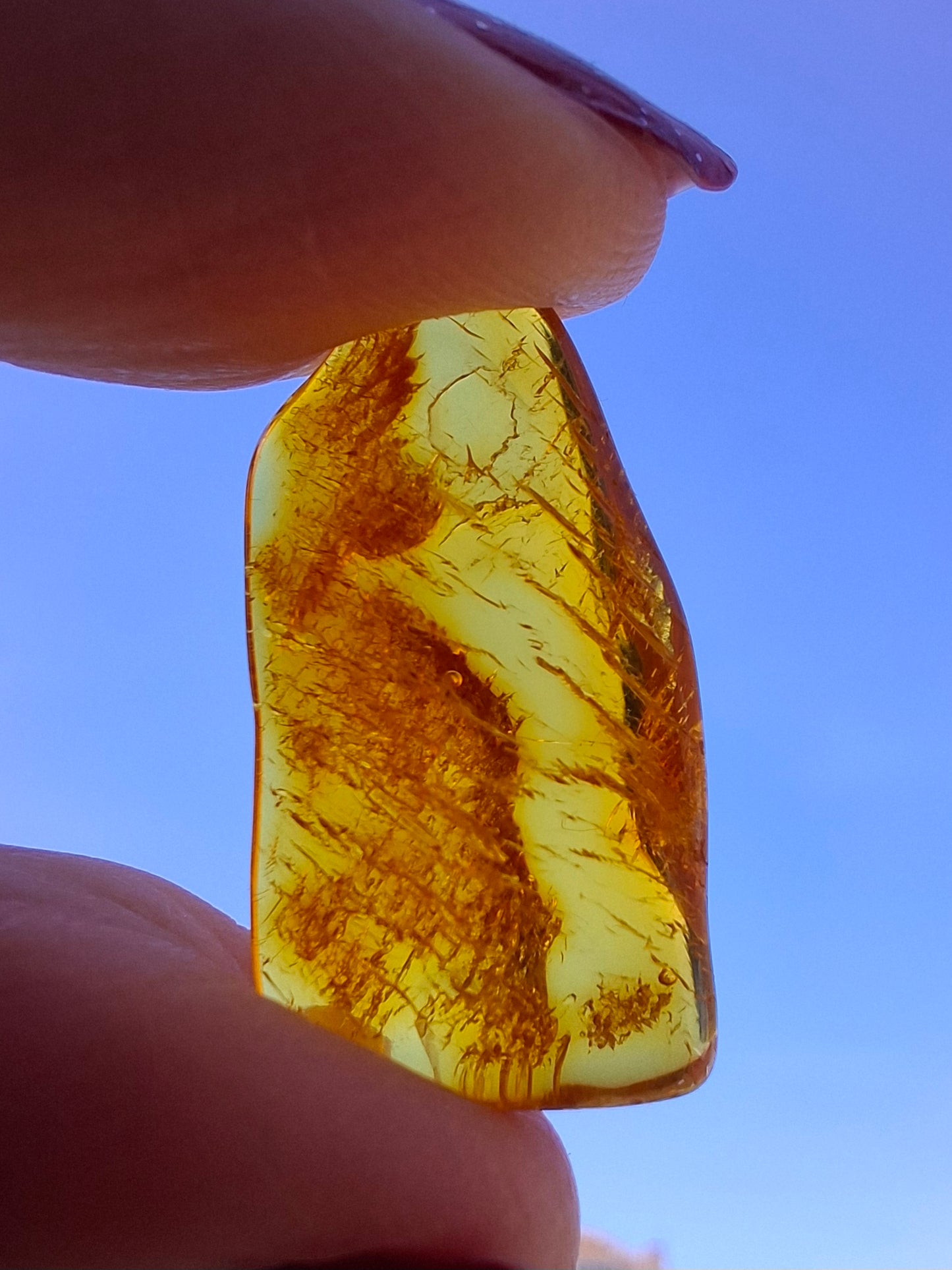 Baltic Amber, 1.11g, Fossil (Ref: A255)