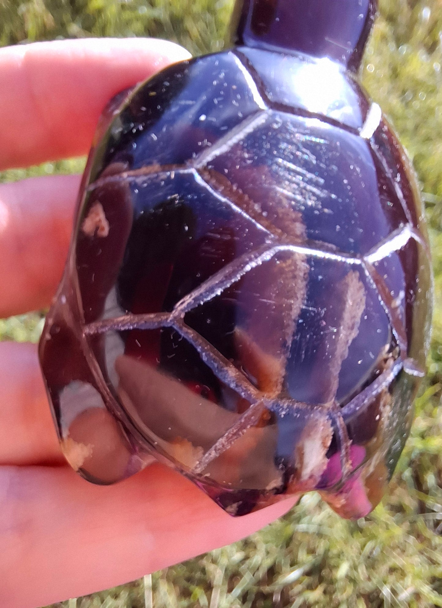 Red Amber Turtle, 52.00g, Carving, Fossil (Ref: TT3)