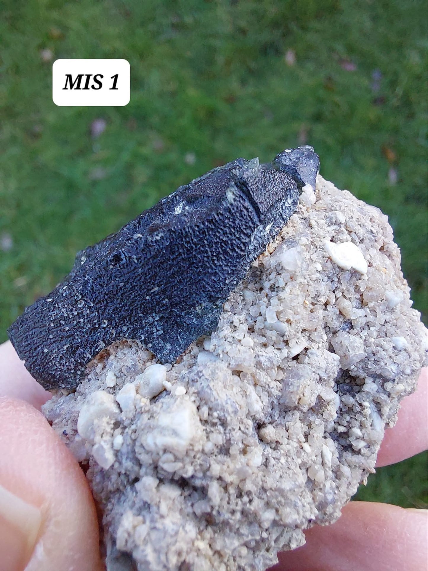 Moldavite In-Situ (in matrix), Besednice, Est-13g, Tektite (Ref: MIS1)