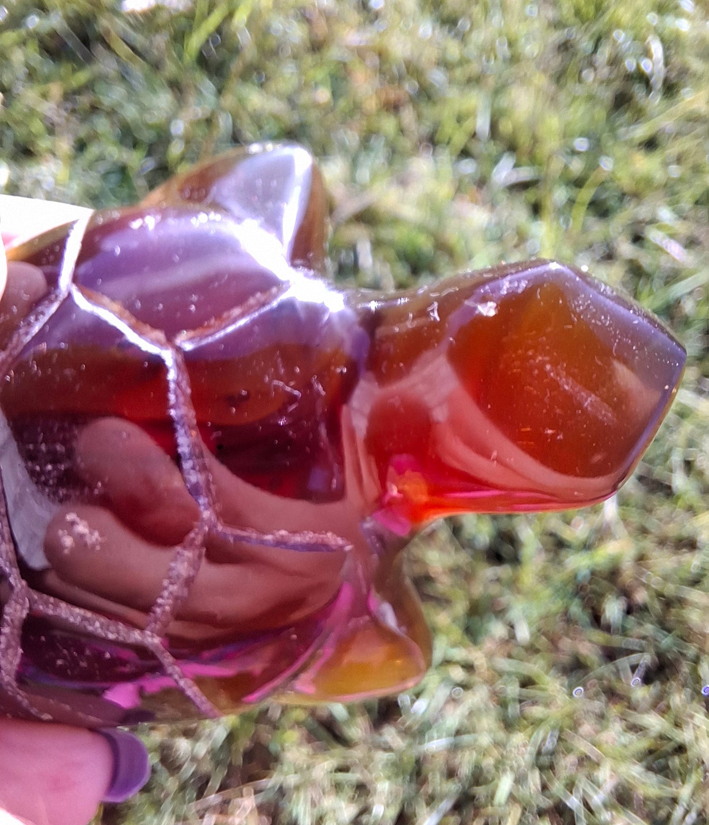 Red Amber Turtle, 49.15g, Carving, Fossil (Ref: TT1)