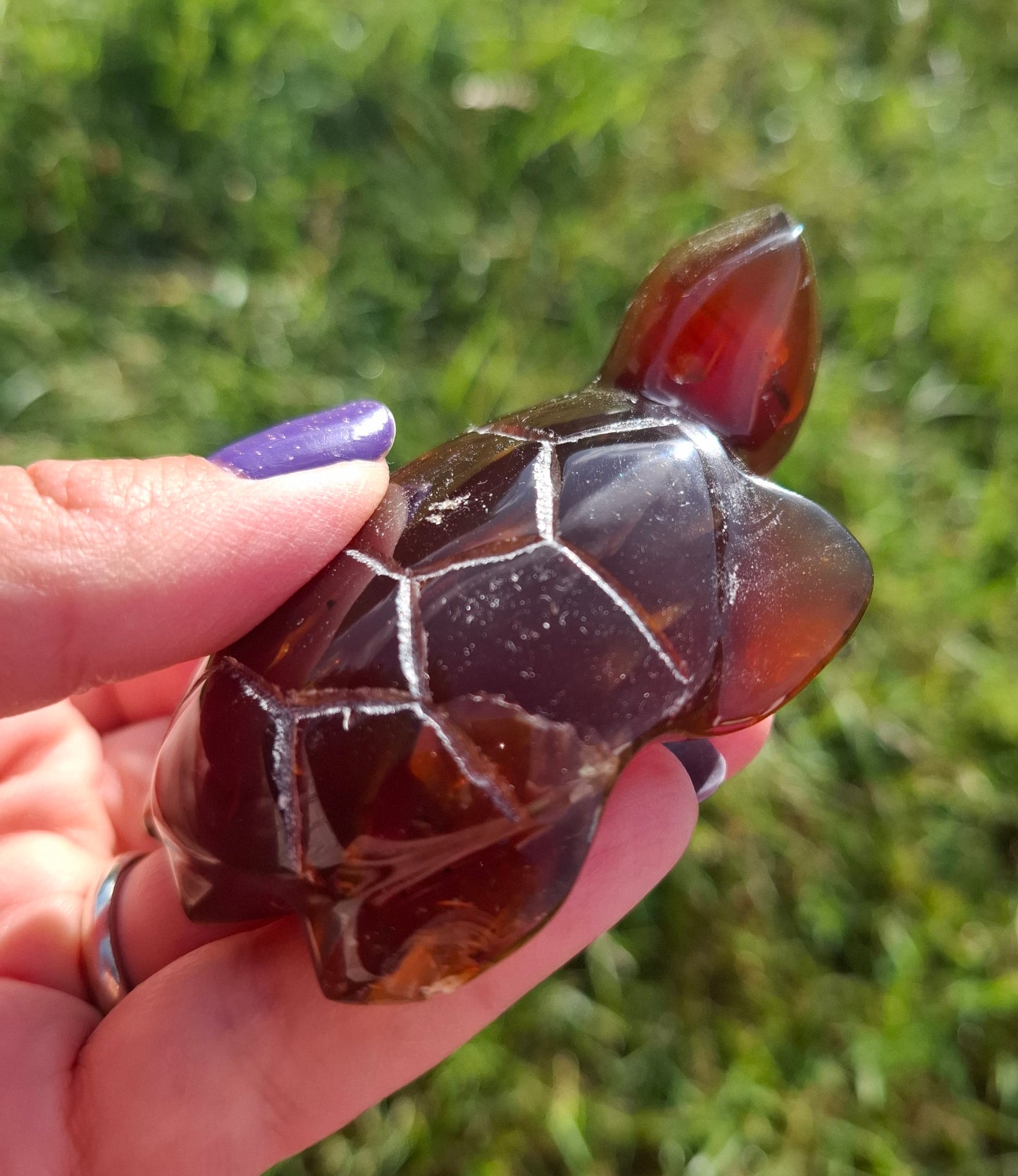 Red Amber Turtle, 49.15g, Carving, Fossil (Ref: TT1)