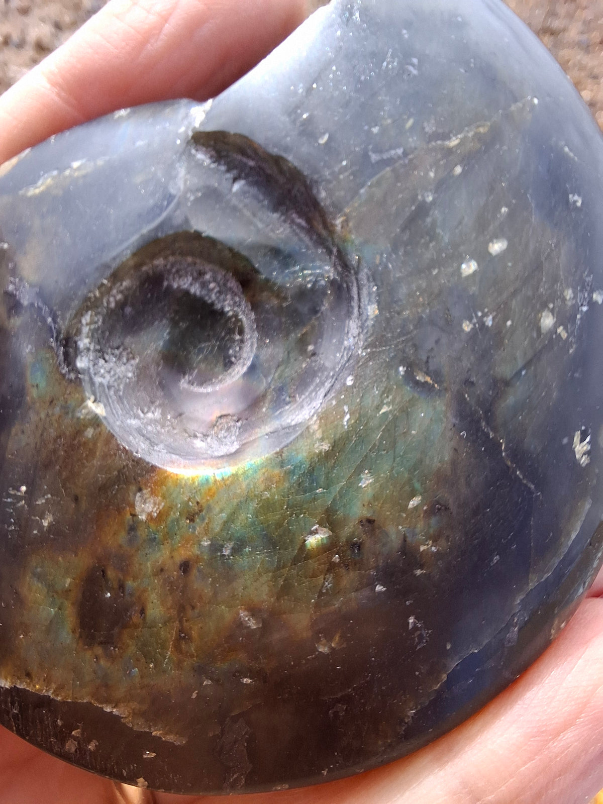 Labradorite Ammonite Carving, 160.21g, Crystal (Ref: laba4)