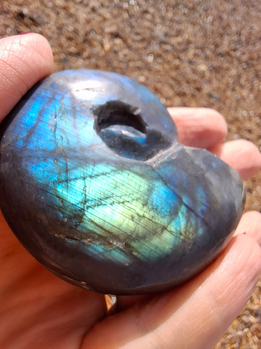 Labradorite Ammonite Carving, 111.66g, Crystal (Ref: laba3)