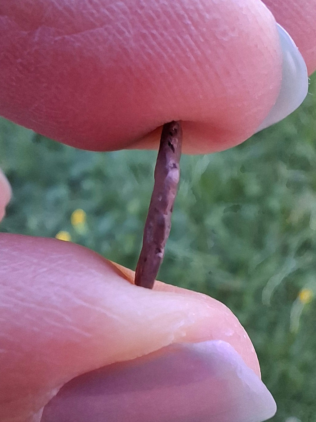 Native Copper Nugget, 0.50g, (Ref: COP4)