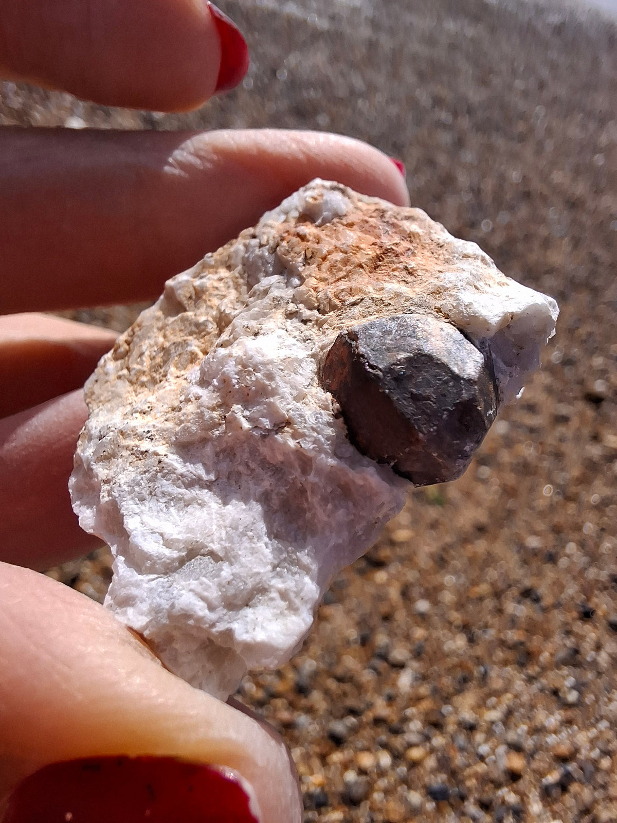 (Dig your own) Garnet in Matrix, Crystal (Ref: RG7)