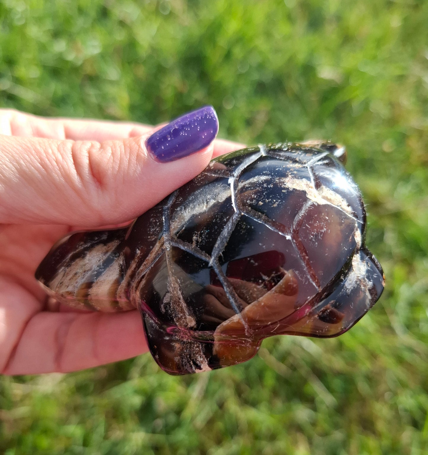 Red Amber Turtle, 50.00g, Carving, Fossil (Ref: TT6)