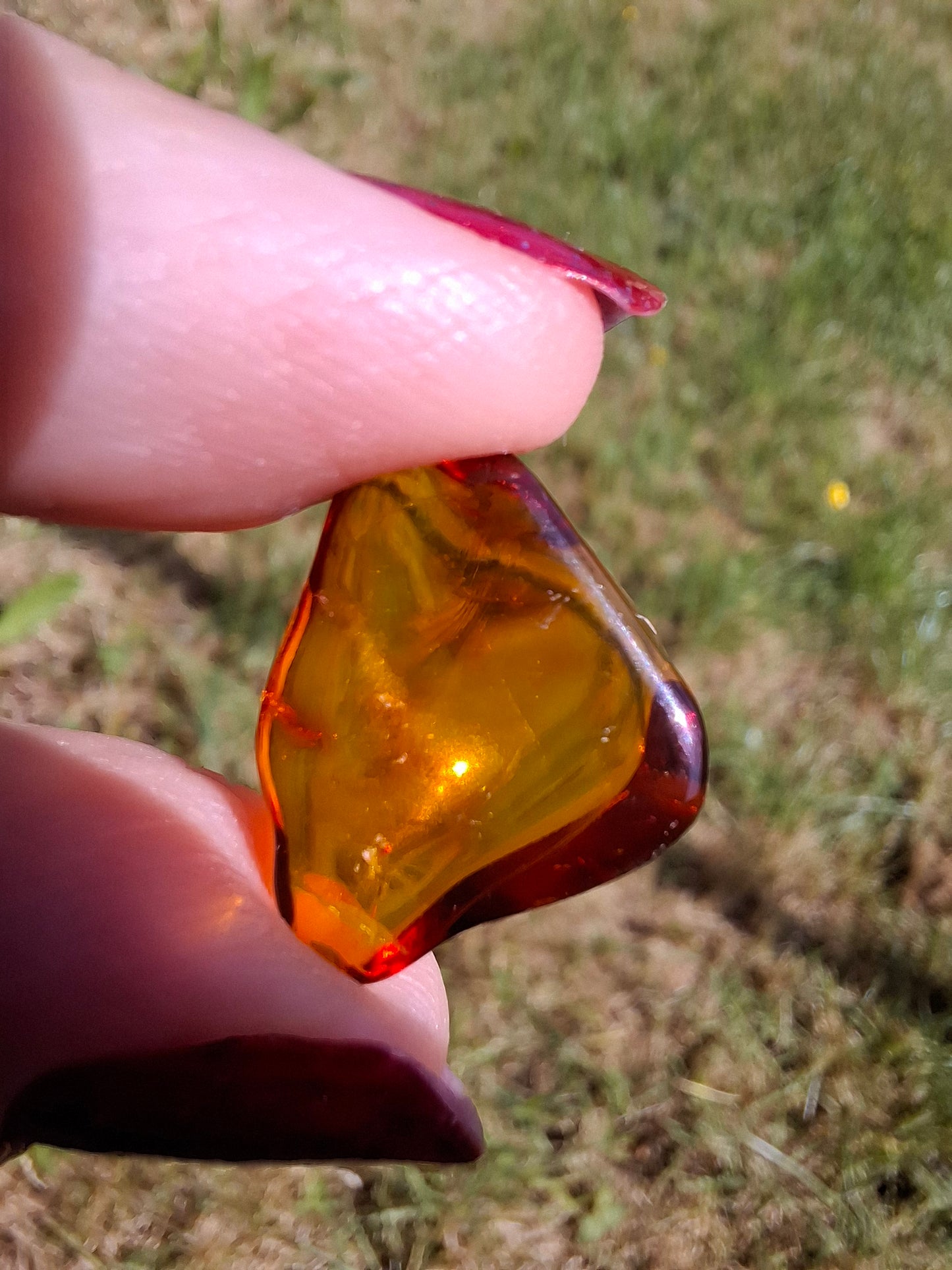 Baltic Amber, 0.88g, Fossil (Ref: A254)