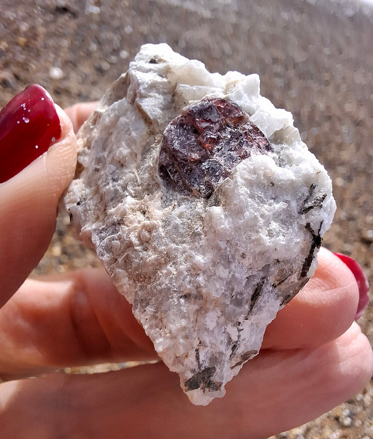 (Dig your own) Garnet in Matrix, Crystal (Ref: RG3)