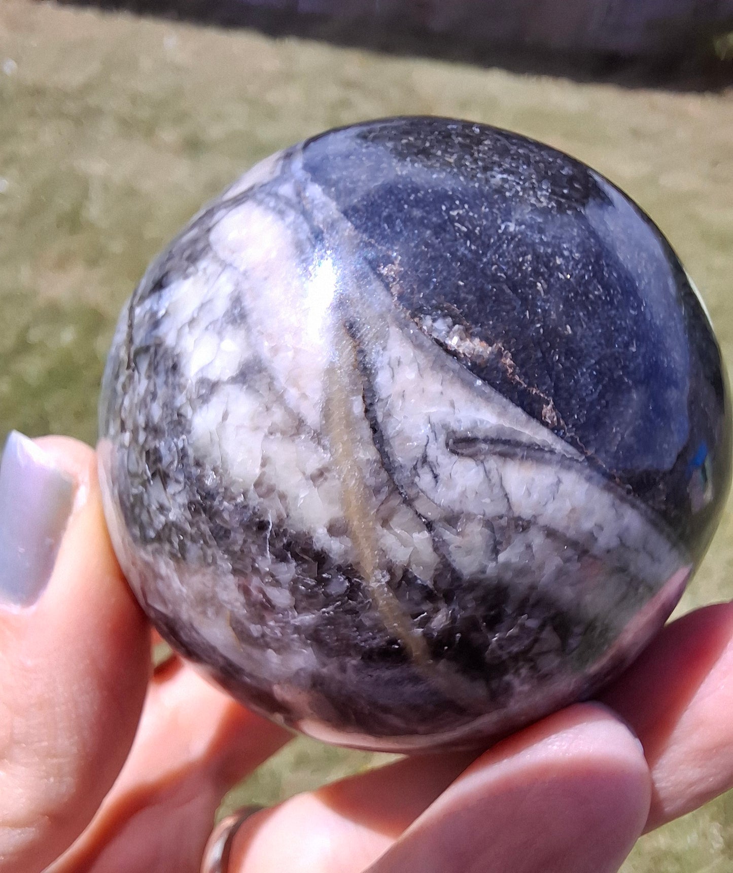 Orthoceras Sphere, Fossil (Ref: OS4)