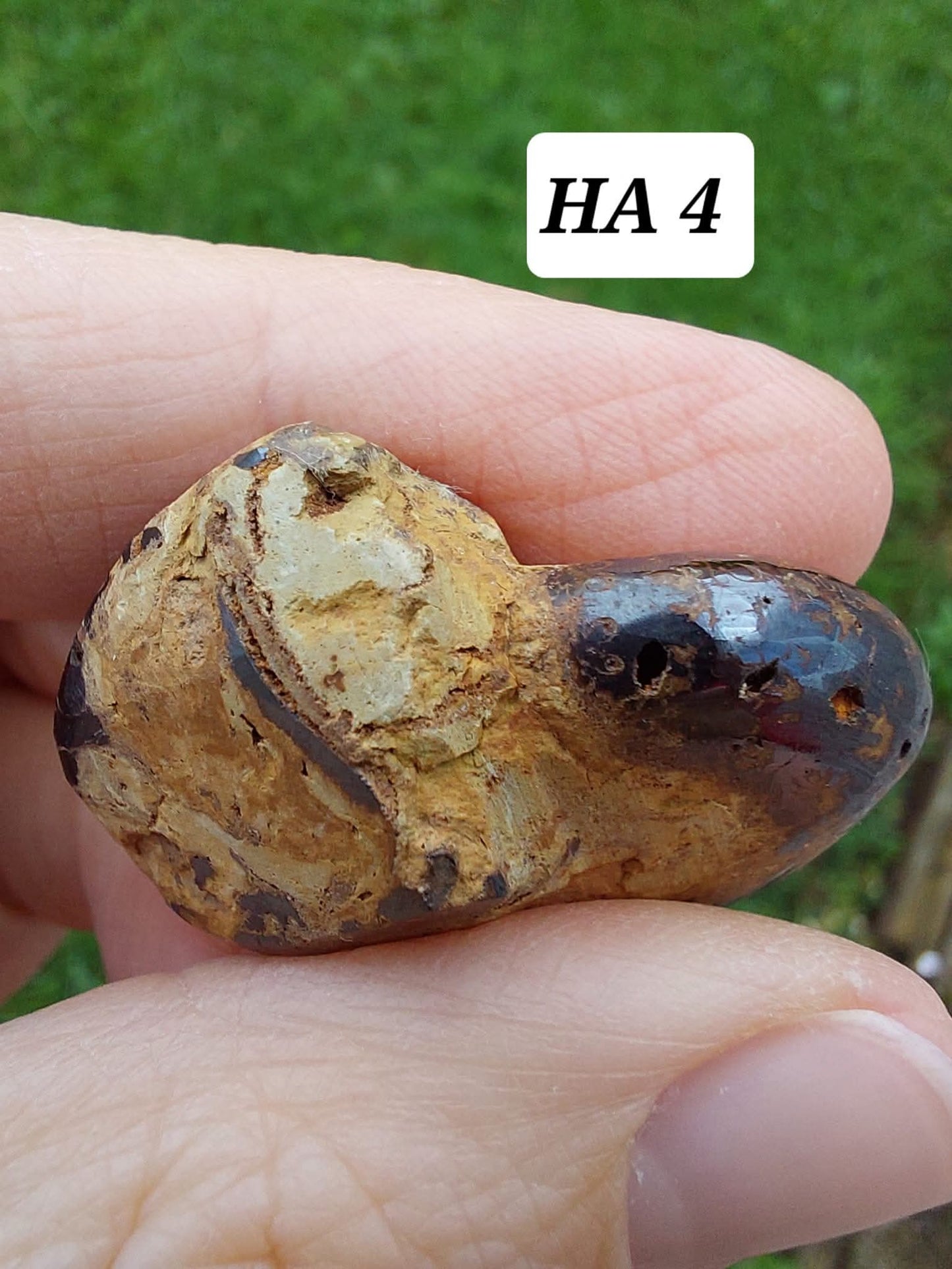 Hematite Ammonite, 18.26g, Fossil (Ref: HA4)