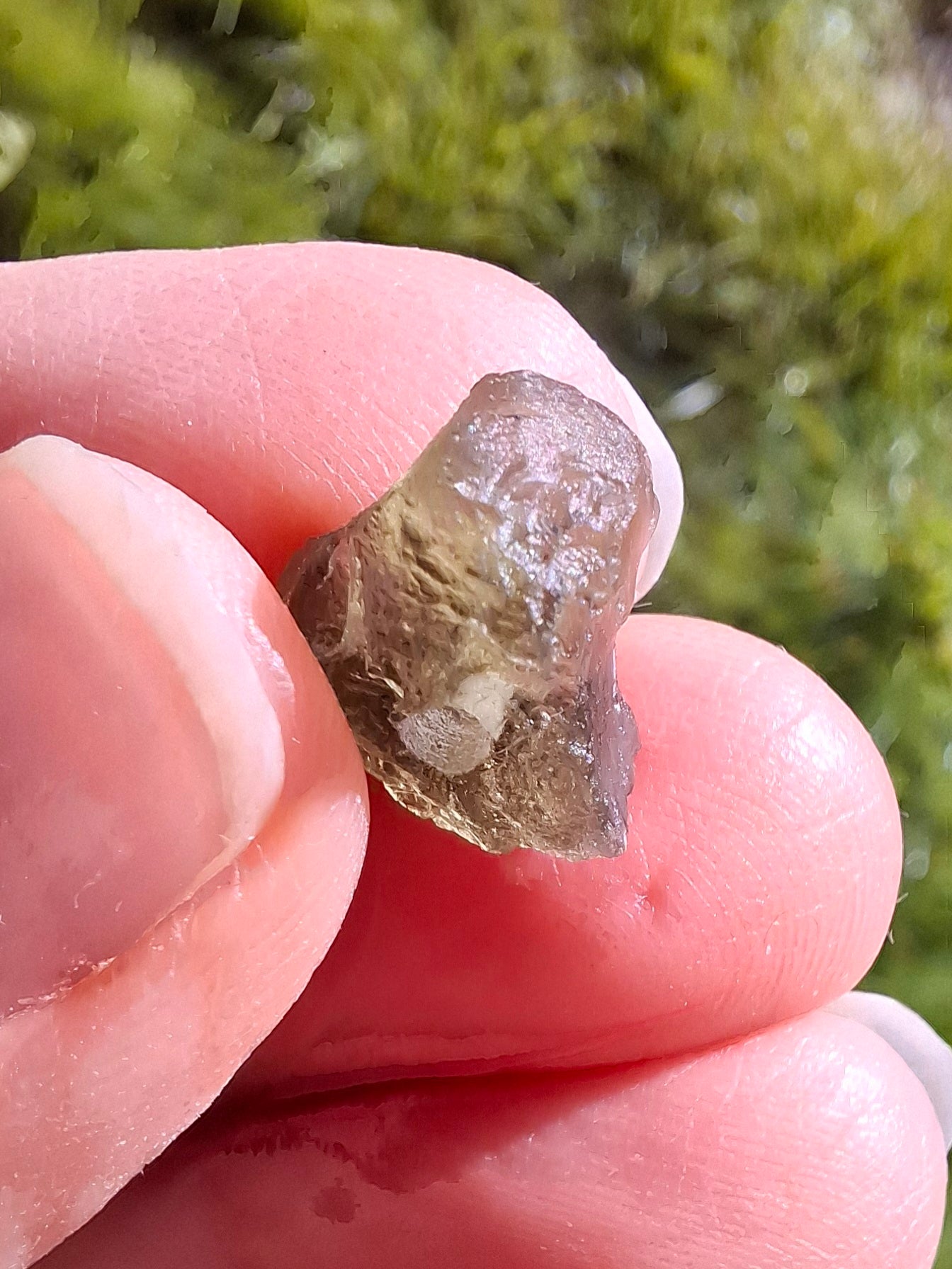DRILLED Moldavite Piece, 1g, Tektite (Ref: D12)