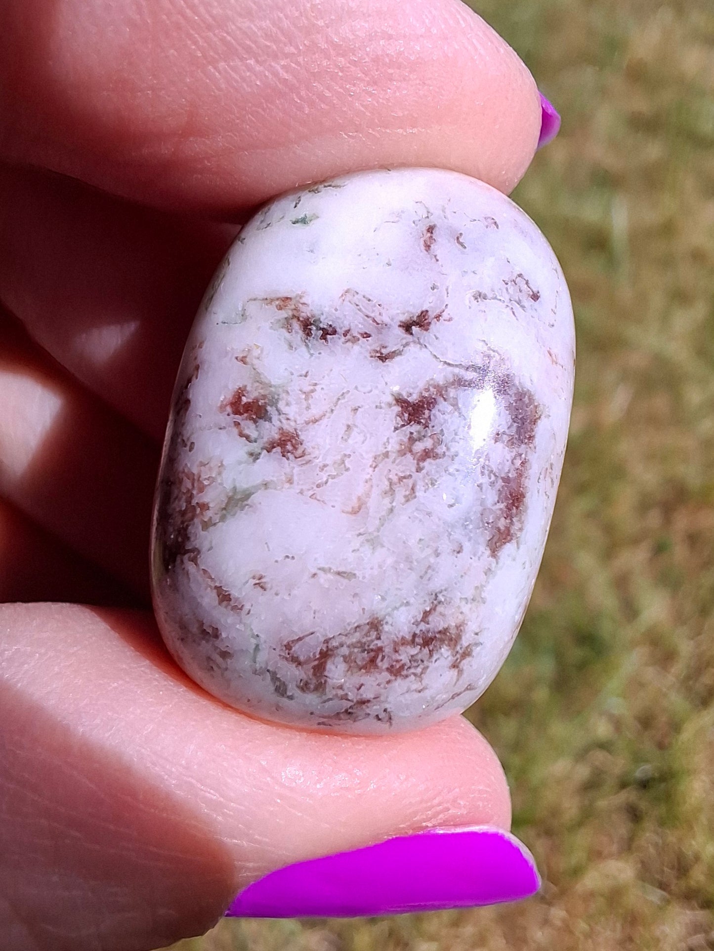 Tree Agate, Tumble Stone, Crystal (Ref: T6)