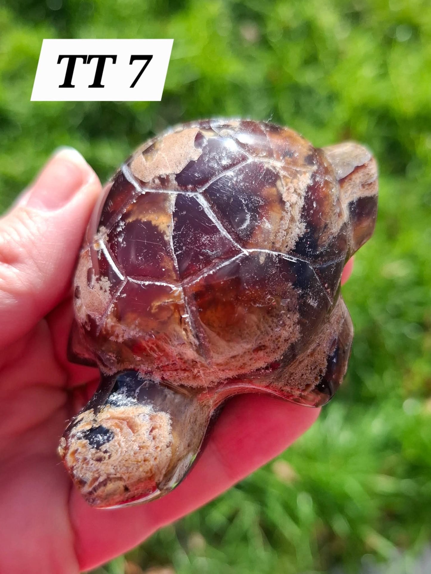 Red Amber Turtle, 56.87g, Carving, Fossil (Ref:TT7)
