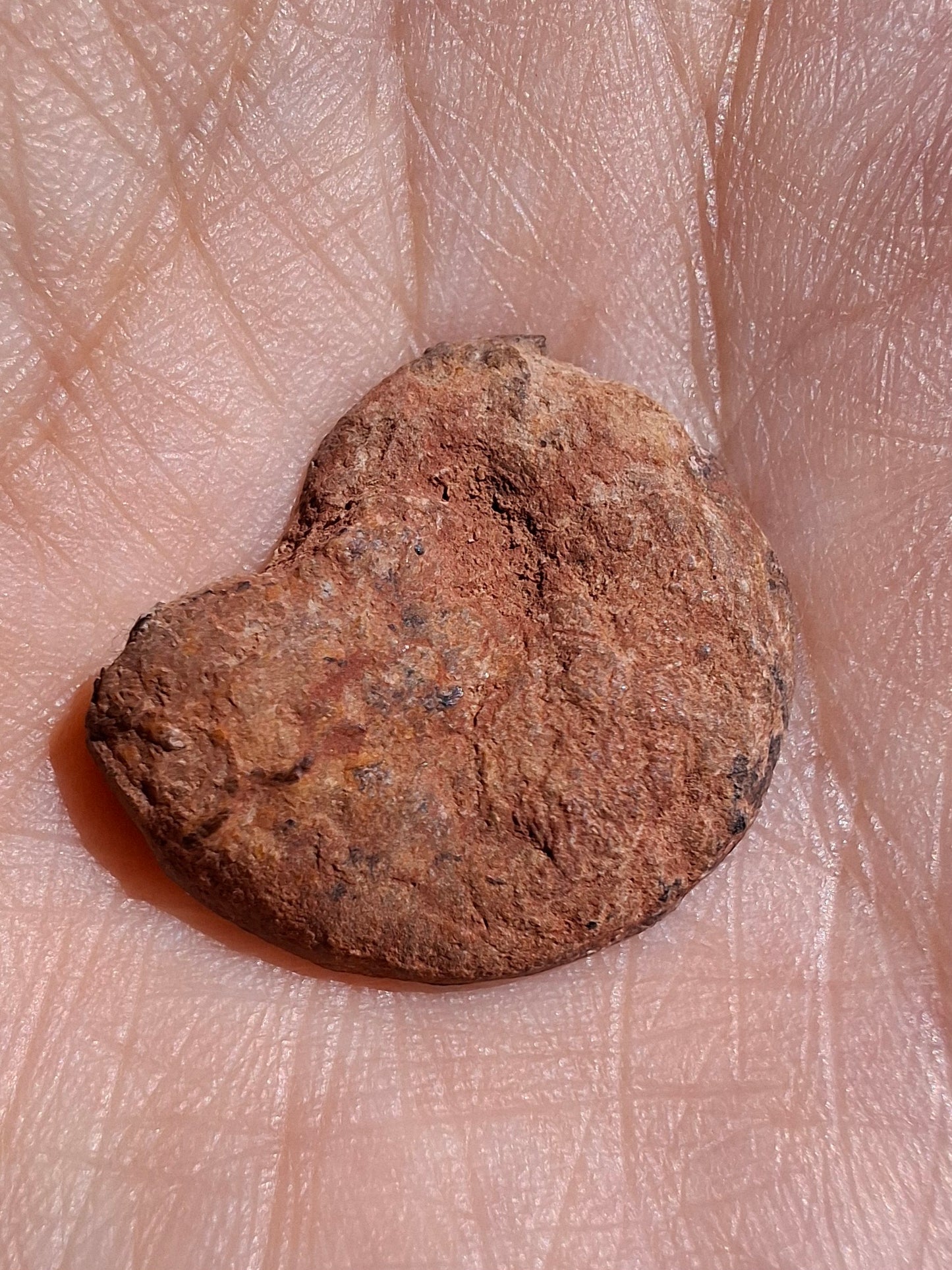 Small Haematite Ammonite HALF, 2.59g, Fossil (Ref: MA7)