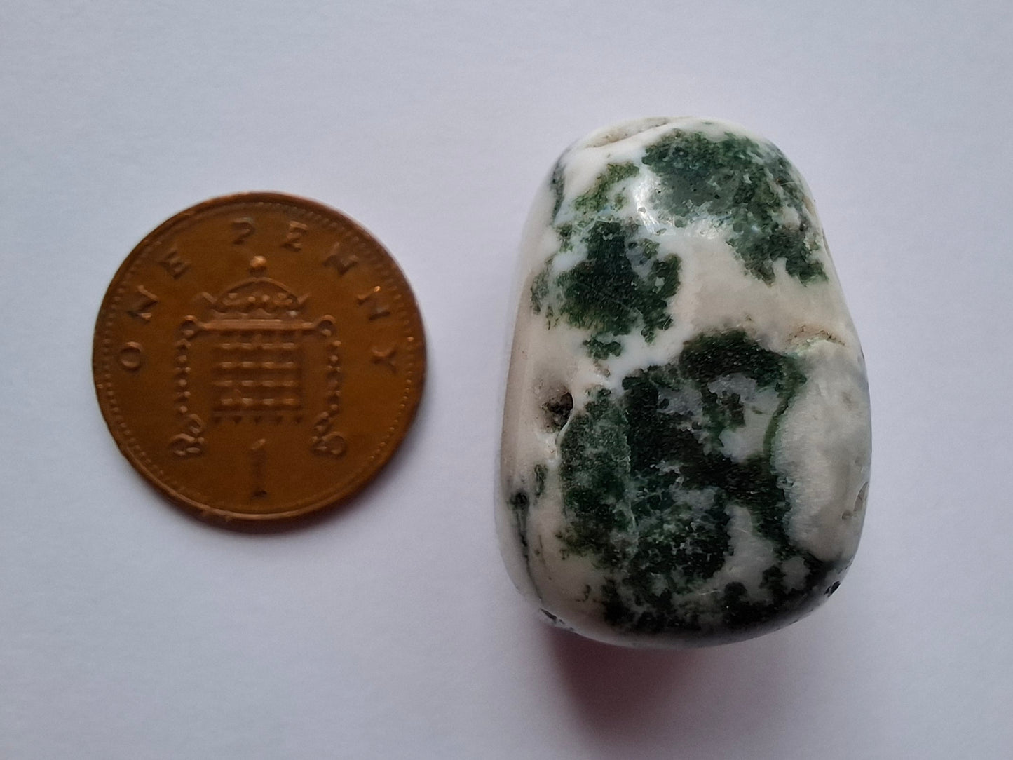 Tree Agate, Tumble Stone, Crystal (Ref: T5)