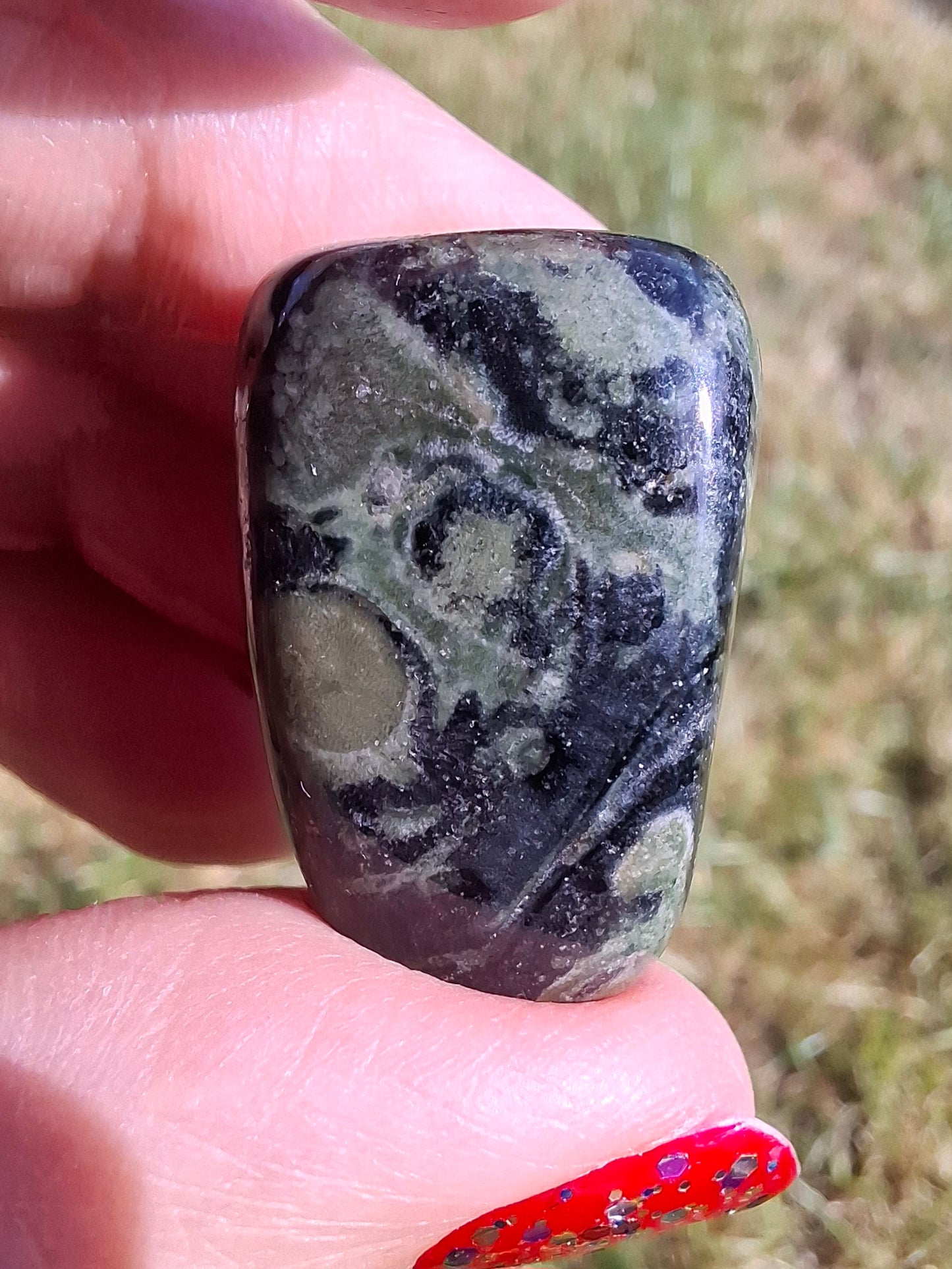Kambaba Jasper, Tumble Stone, Crystal (Ref: T161)