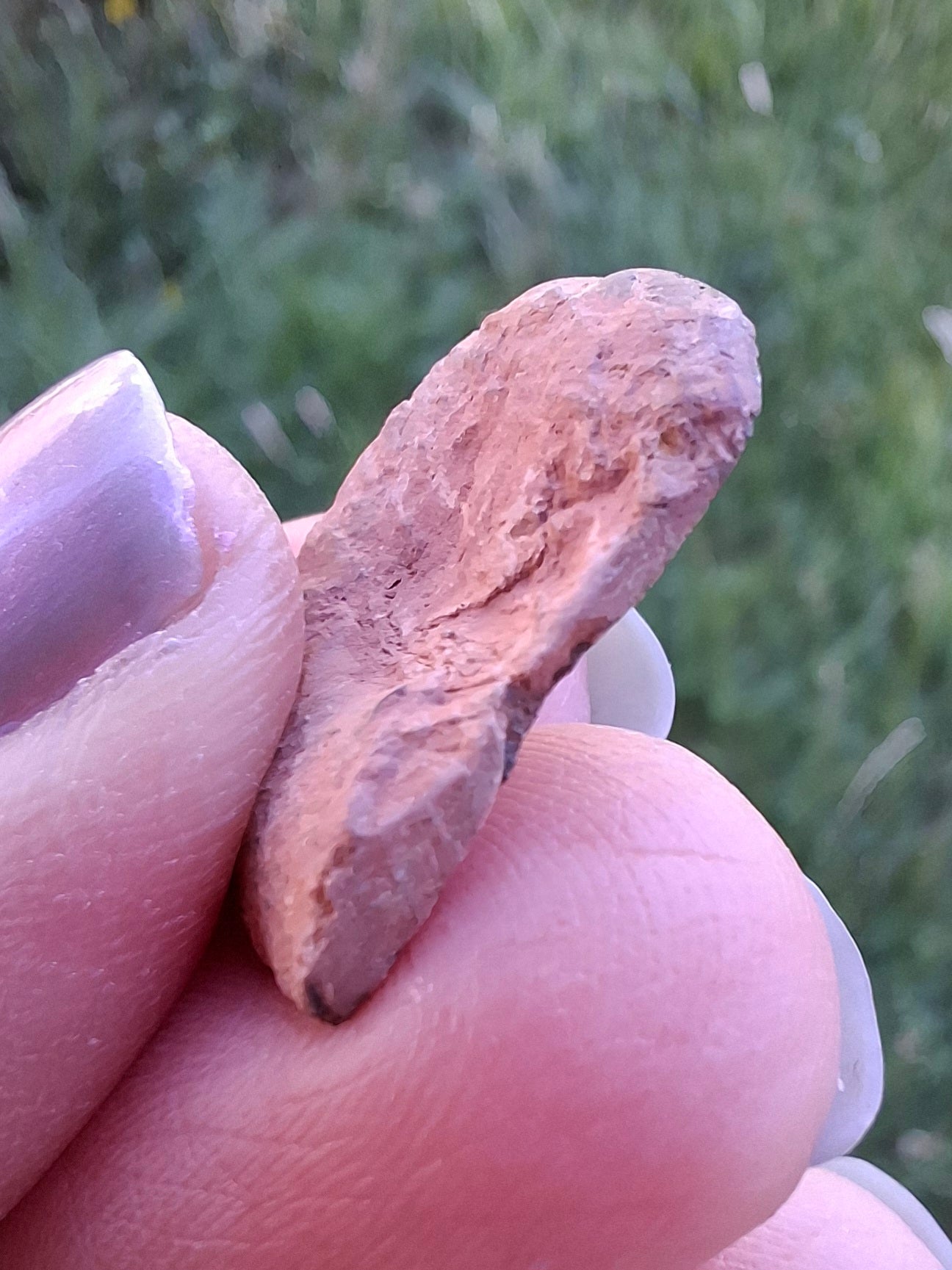 Small Haematite Ammonite HALF, 1.66g, Fossil (Ref: MA2)