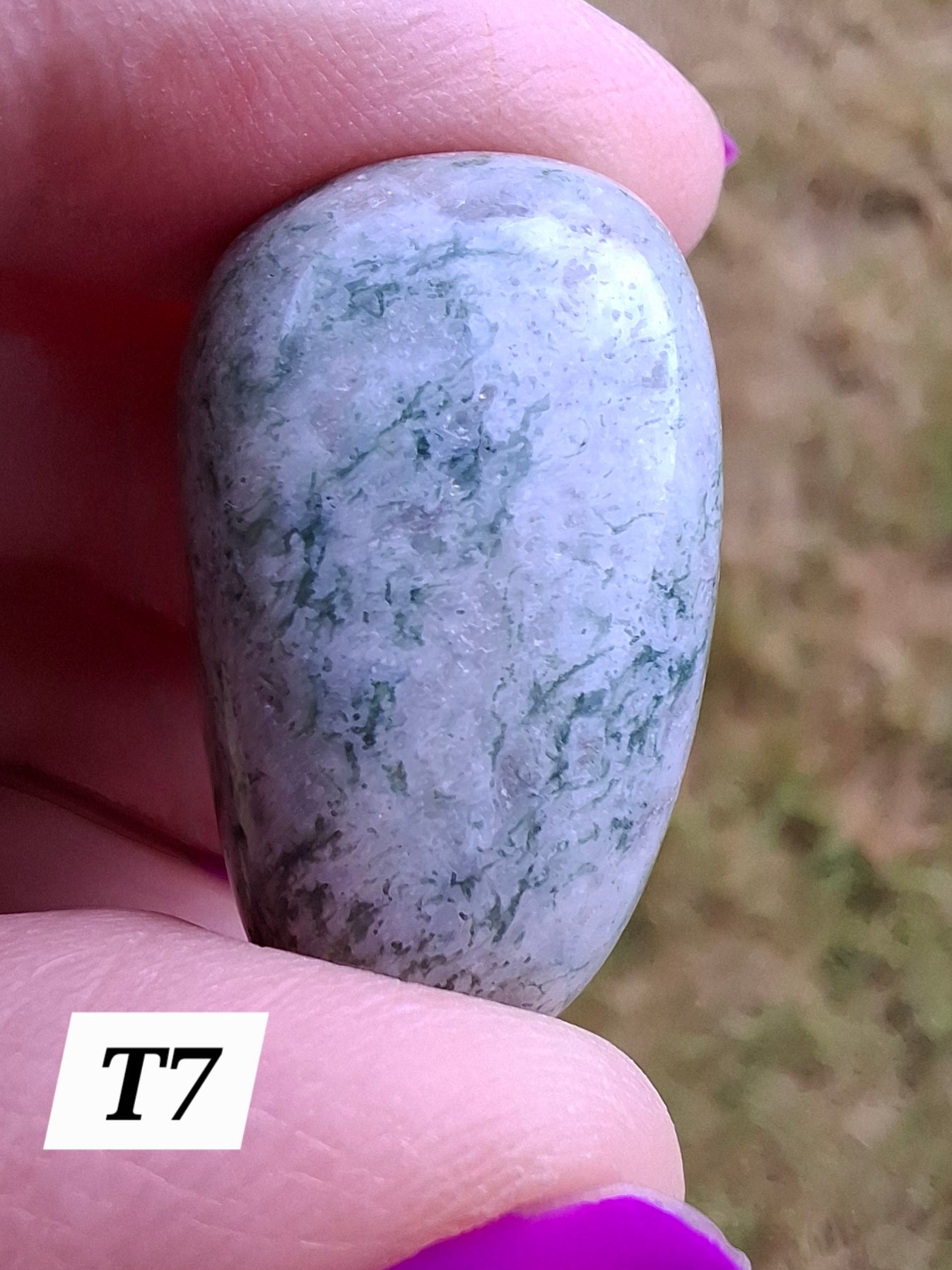 Tree Agate, Tumble Stone, Crystal (Ref: T7)