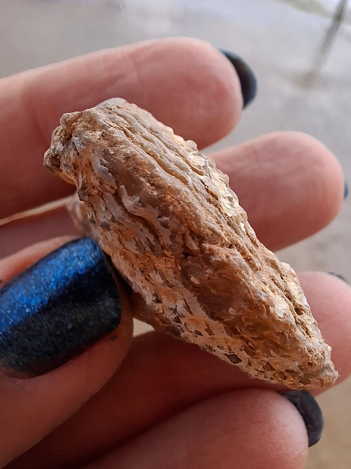 Chalcedony Oyster, Fossil (Ref: FO8)