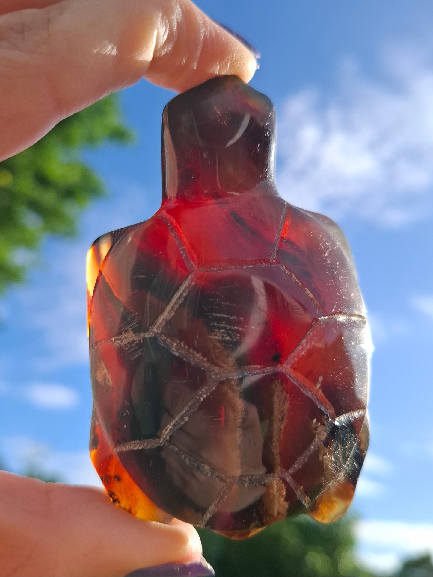 Red Amber Turtle, 52.00g, Carving, Fossil (Ref: TT3)