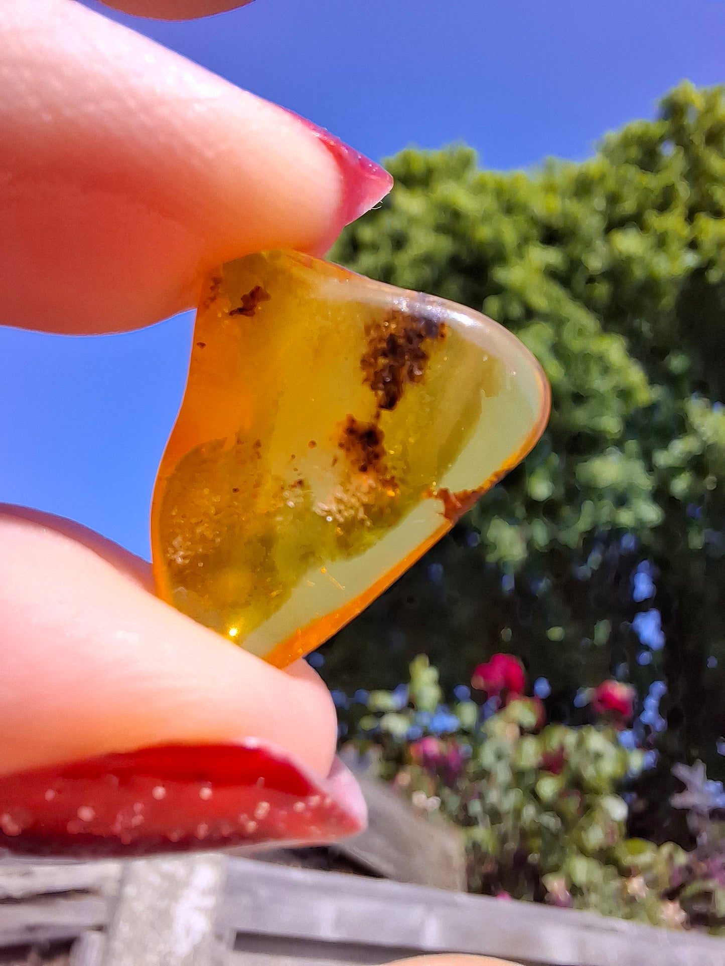 Baltic Amber, 0.91g, Fossil (Ref: A240)