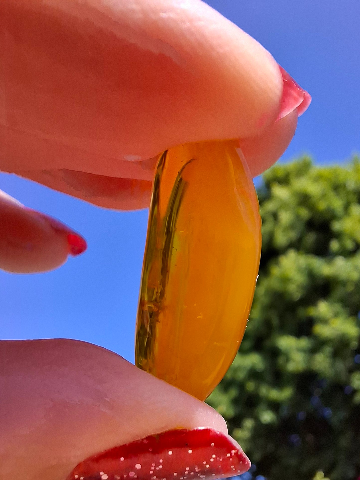 Baltic Amber, 1.74g, Fossil (Ref: A228)