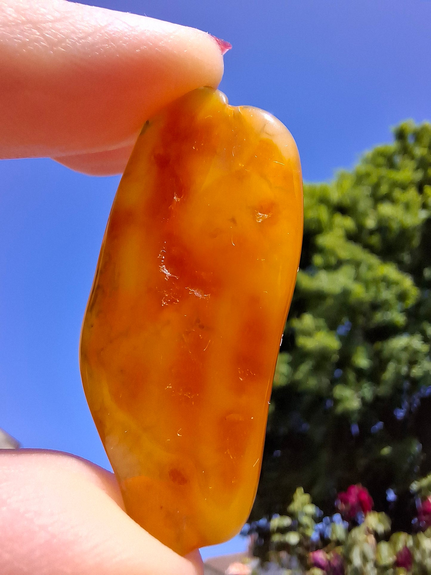 Baltic Amber, 2.87g, Fossil (Ref: A152)
