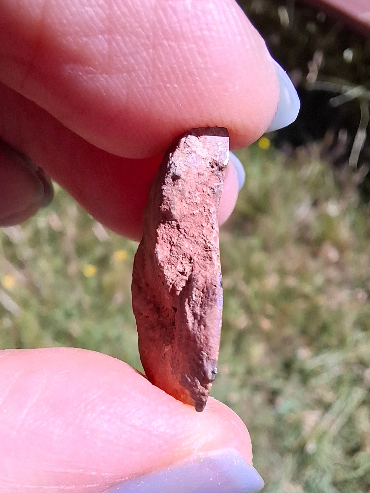 Small Haematite Ammonite HALF, 2.59g, Fossil (Ref: MA7)