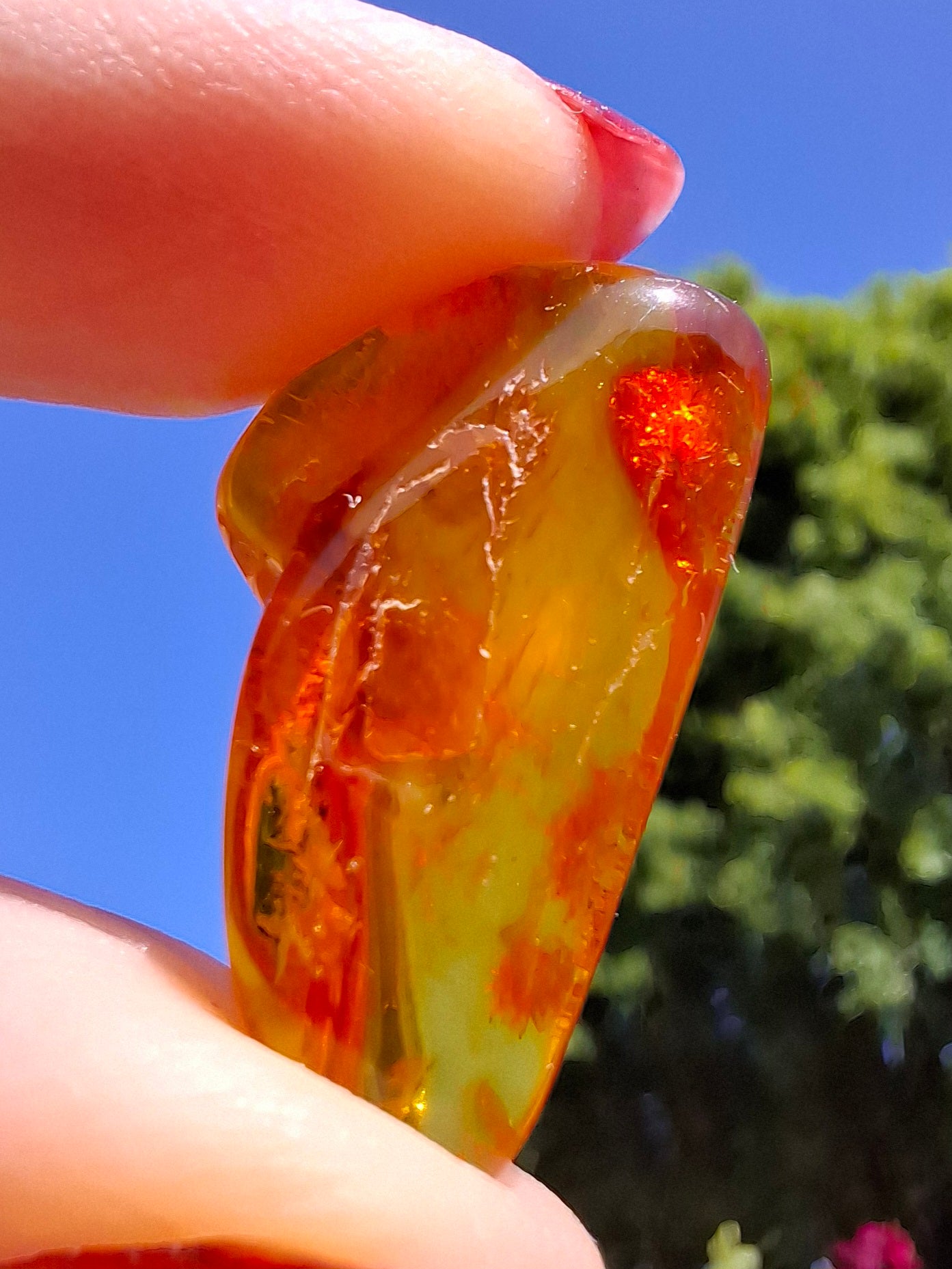 Baltic Amber, 1.48g, Fossil (Ref: A221)