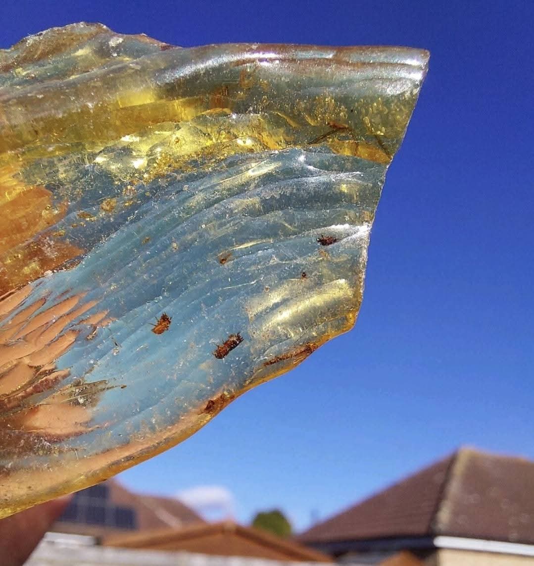Copal Young Amber with INSECTS inside, 6.42g, Fossil (Ref: CA38)