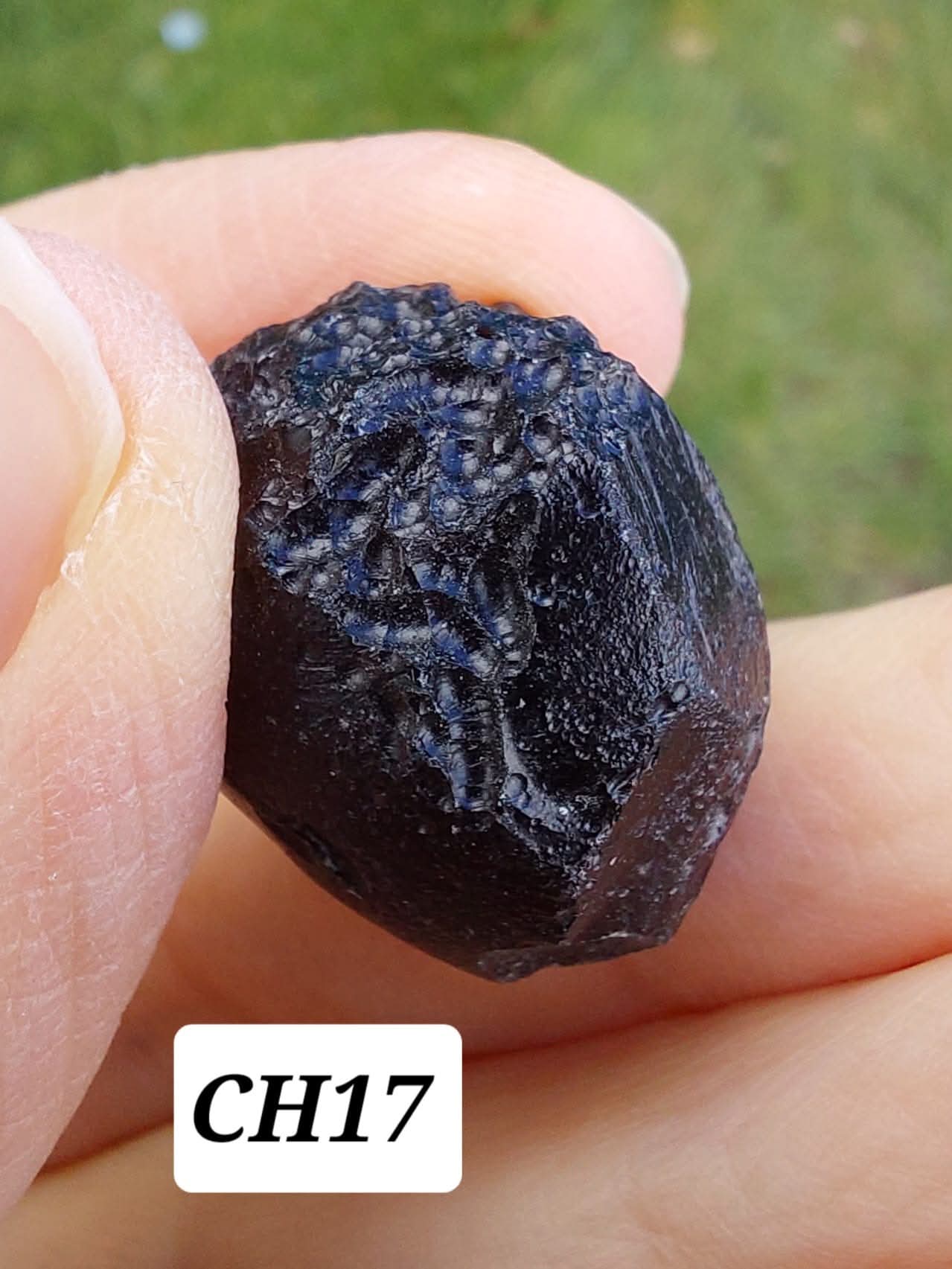 Guang Dong (Chinese), 12.96g, Tektite