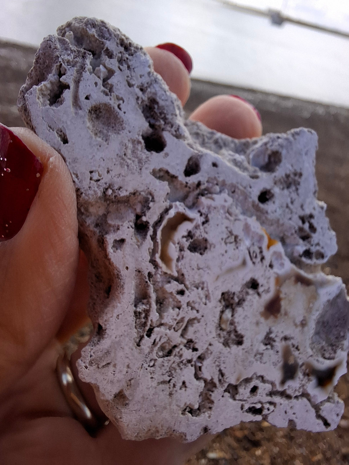 Fossilised Coral replaced by Chalcedony/Agate, Fossil (Ref: FCA1)