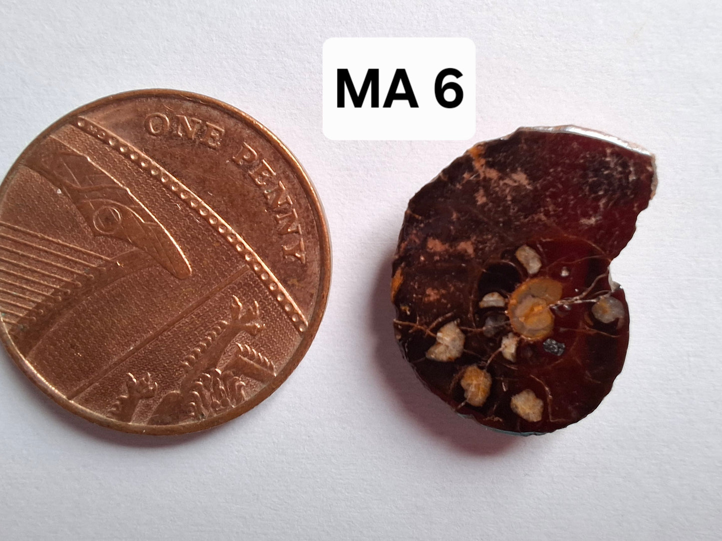 Small Haematite Ammonite HALF, 1.41g, Fossil (Ref: MA6)