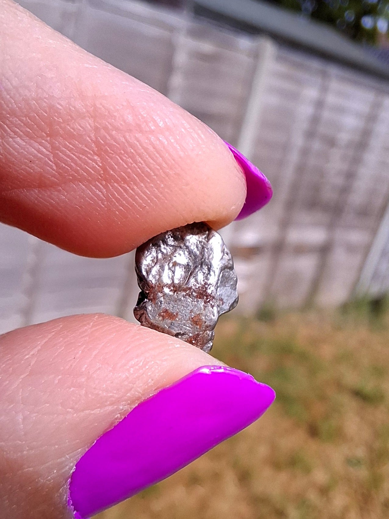 Campo del Cielo, 0.96g, Nickel Iron Meteorite (Ref: C7)