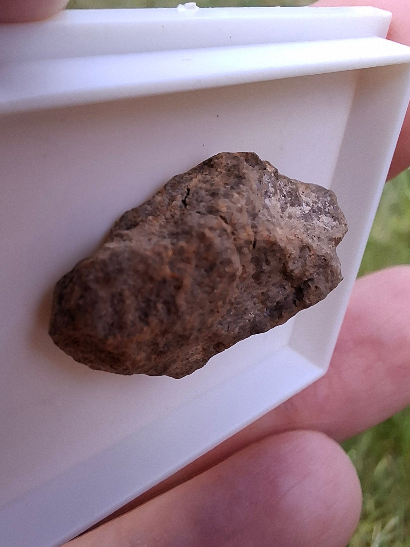 Chondrite, Meteorite (Ref: CM7)