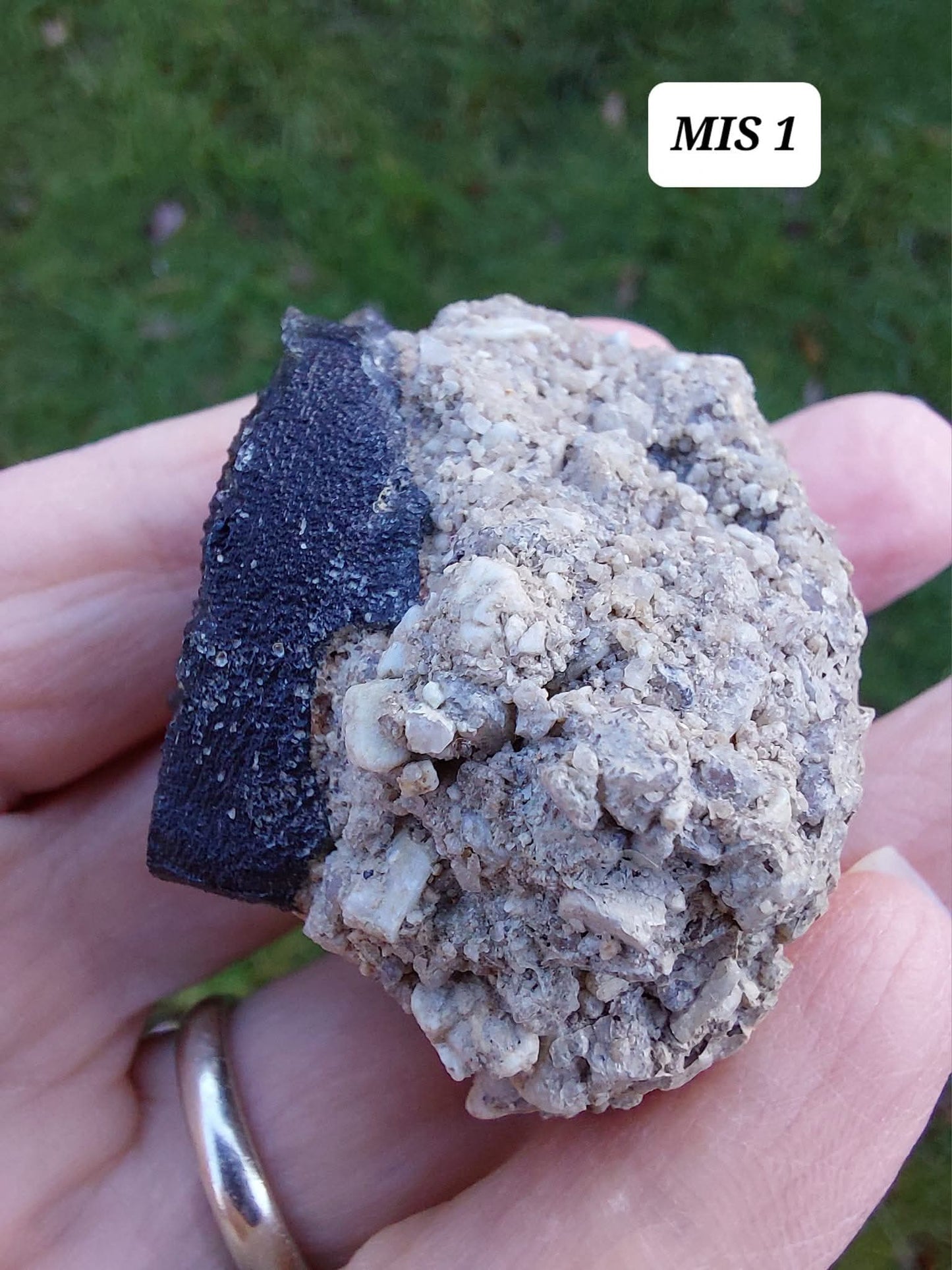 Moldavite In-Situ (in matrix), Besednice, Est-13g, Tektite (Ref: MIS1)
