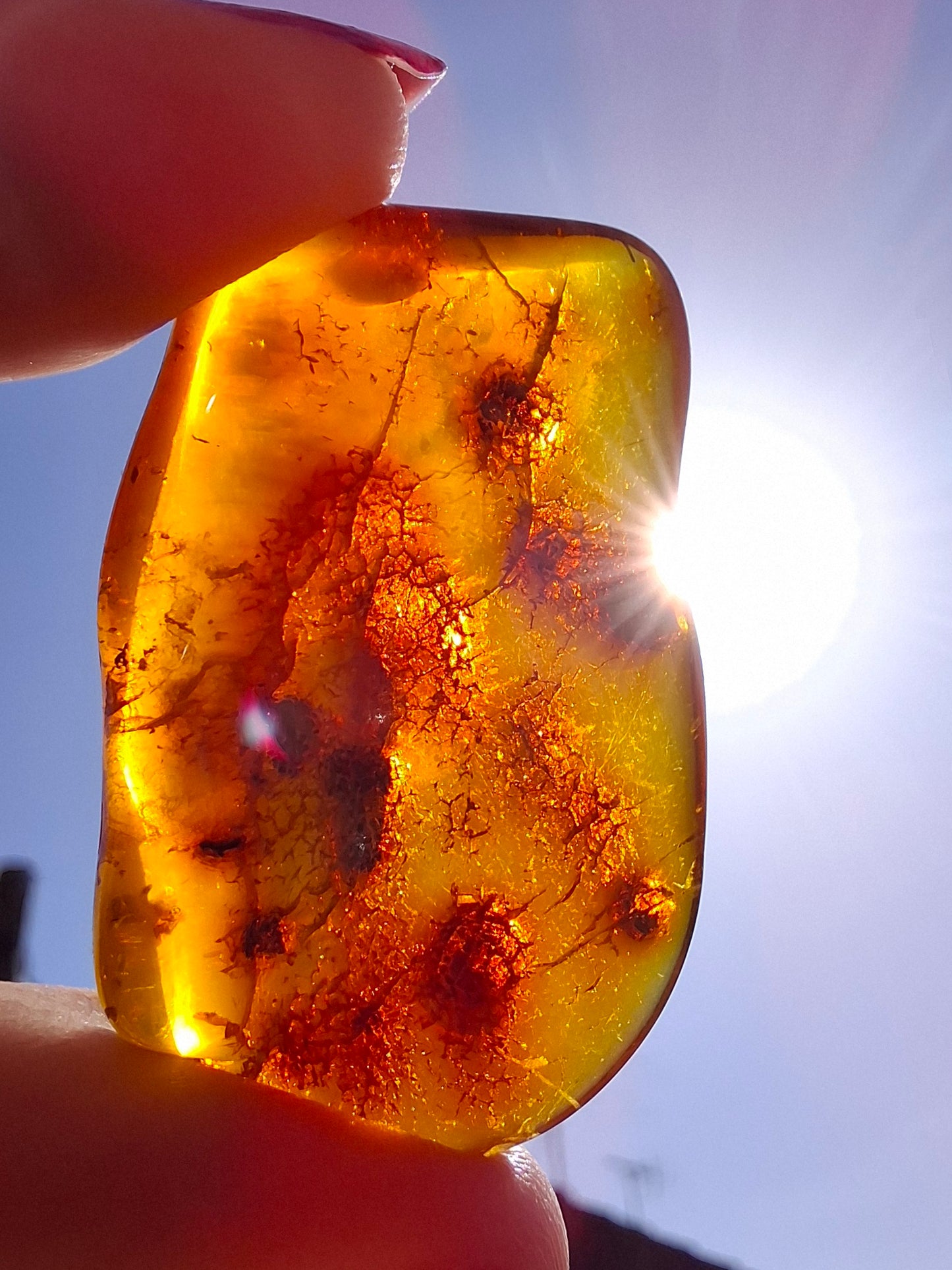Baltic Amber, 4.50g, Fossil (Ref: A151)