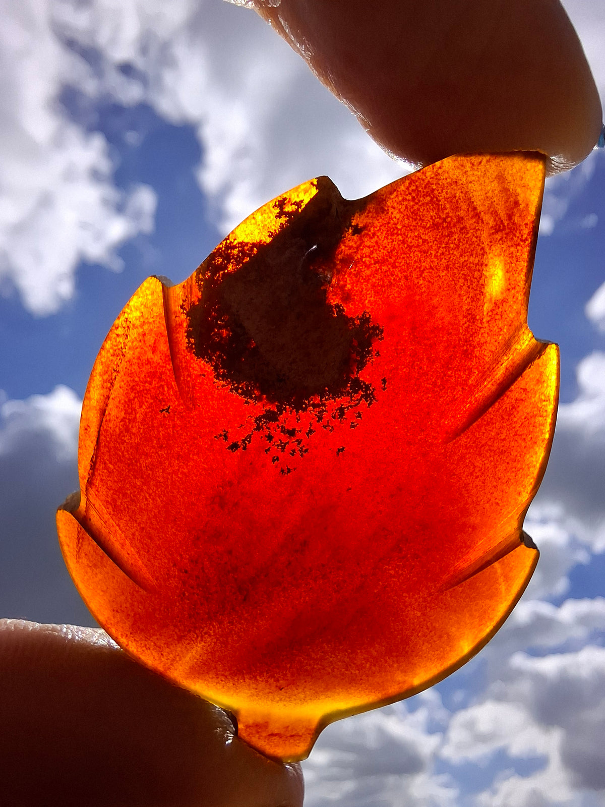 Red Amber Leaf Carving, 7.65g, Fossil (Ref: Leaf9)