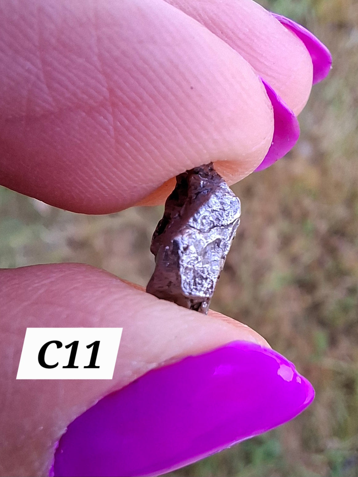 Campo del Cielo, 1.05g, Nickel Iron Meteorite (Ref: C11)