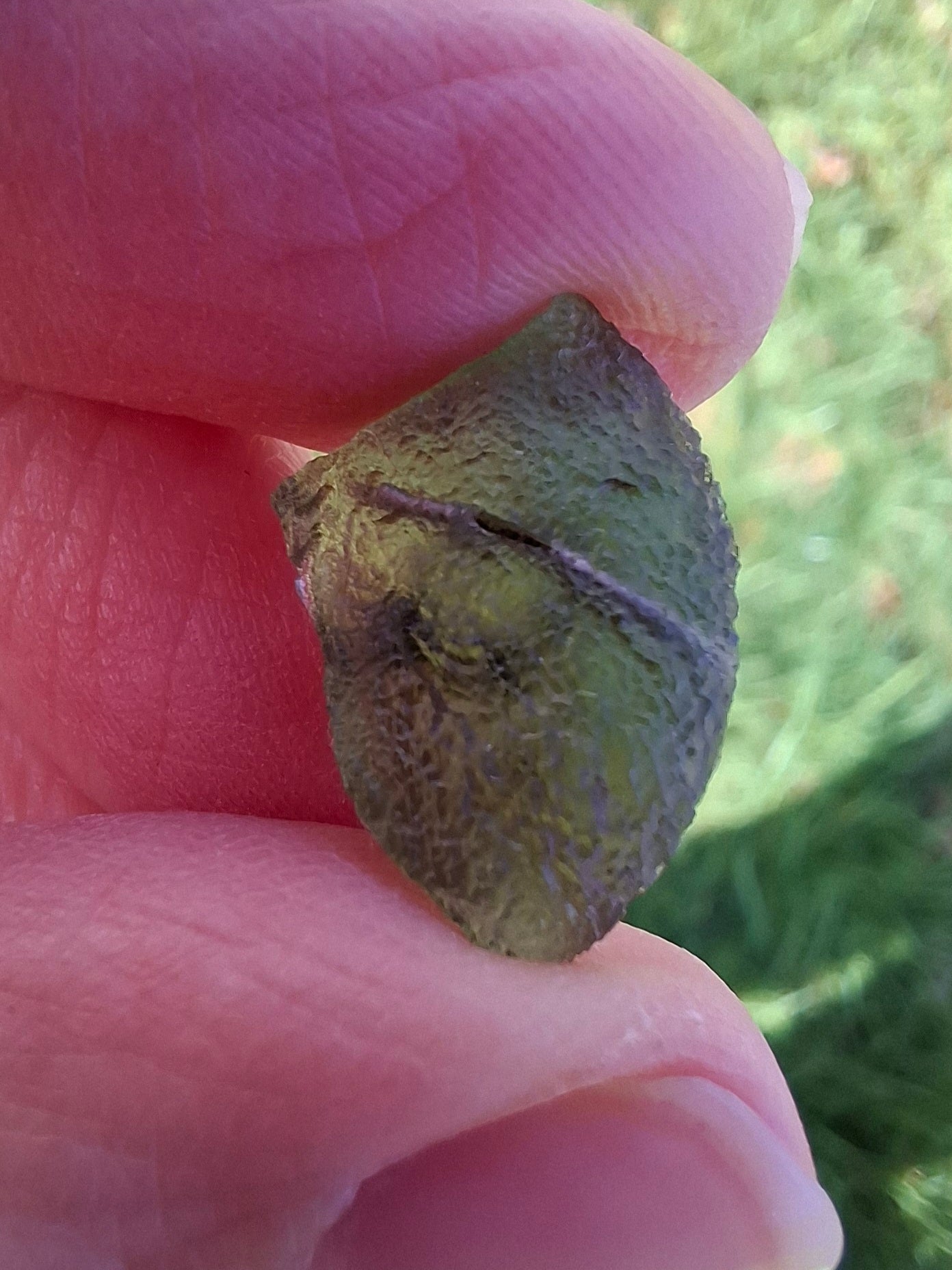 Moldavite Piece, 1.13g, Tektite (Ref: 1335)
