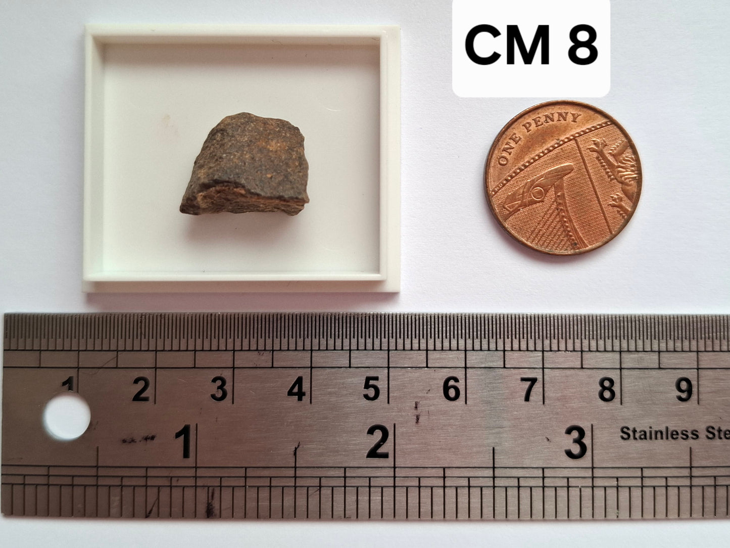 Chondrite, Meteorite (Ref: CM8)