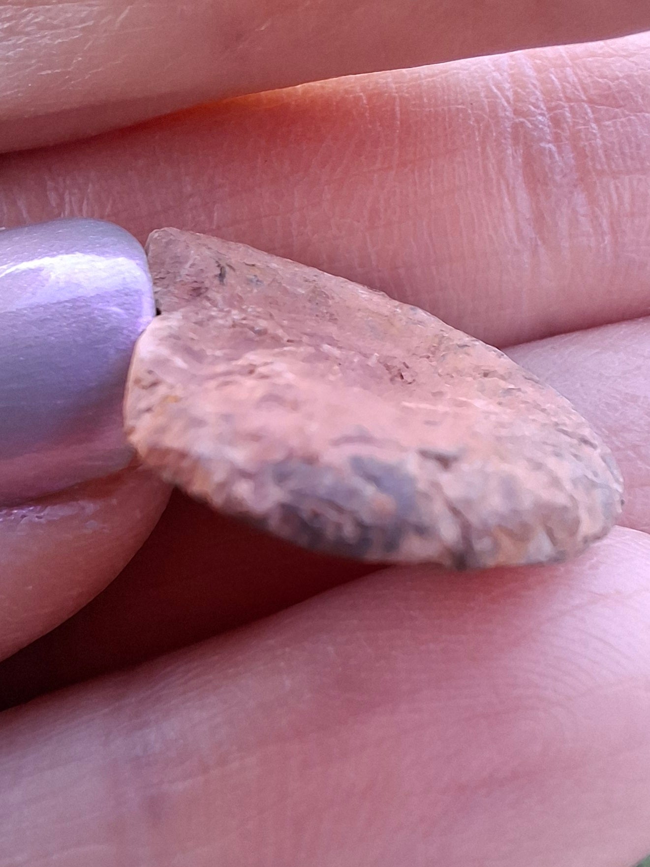 Small Haematite Ammonite HALF, 1.66g, Fossil (Ref: MA2)